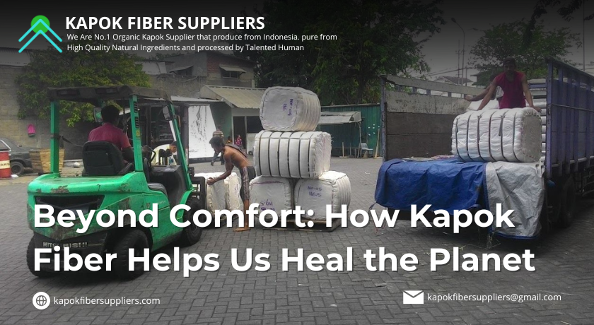 kapok fiber