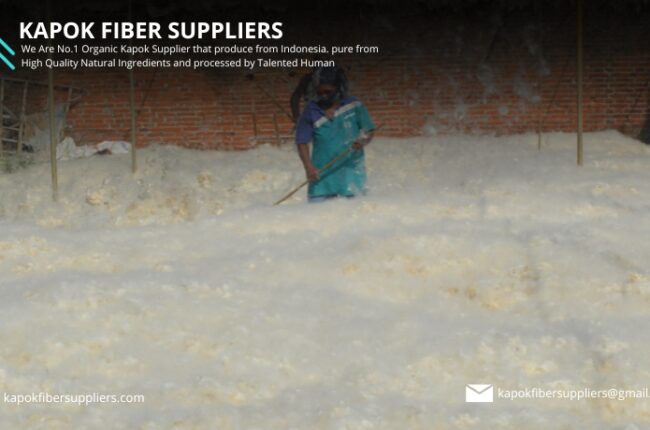 kapok fiber