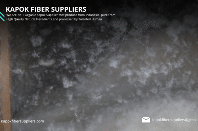 kapok fiber