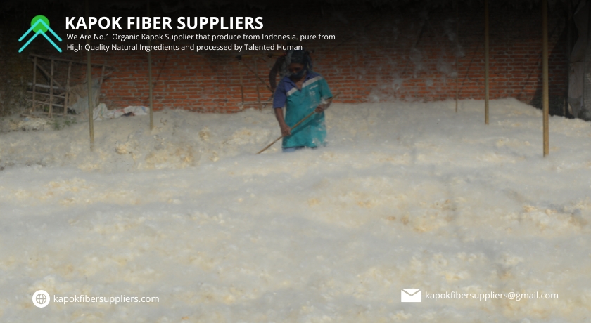 kapok fiber