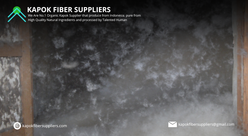 kapok fiber