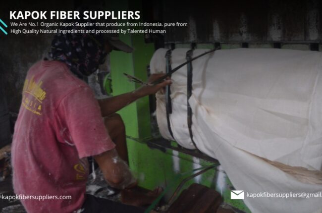 kapok fiber