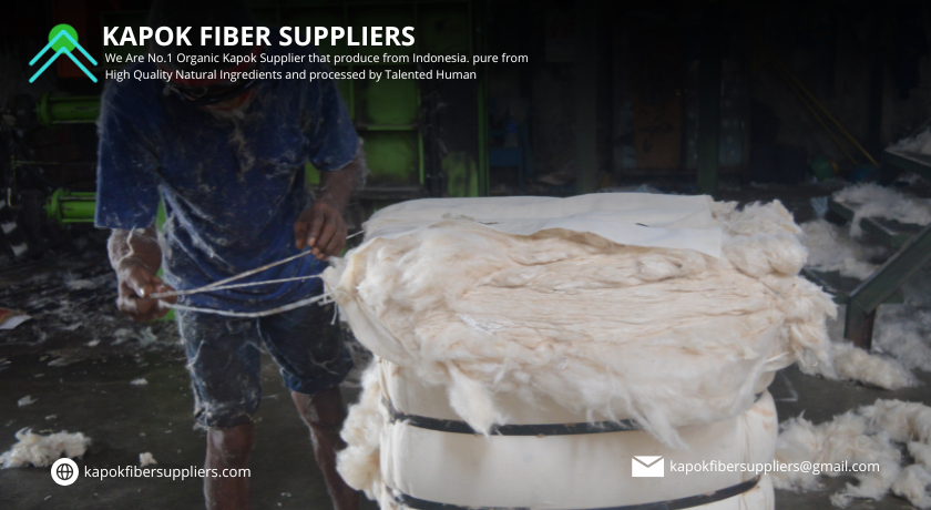 kapok fiber