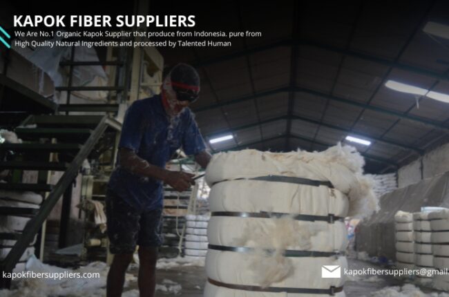 kapok fiber