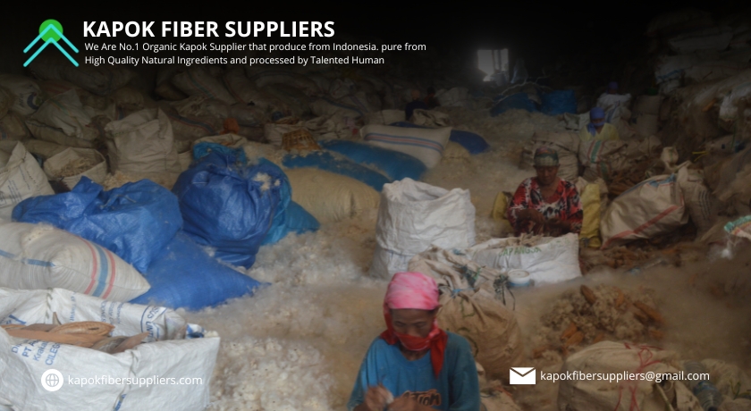 kapok fiber