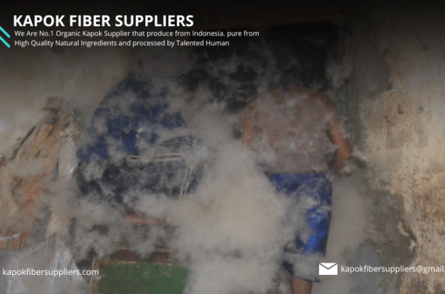kapok fiber