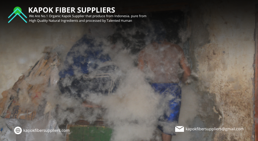 kapok fiber