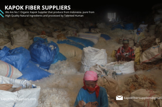 kapok fiber