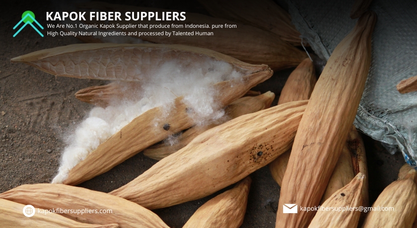 kapok fiber