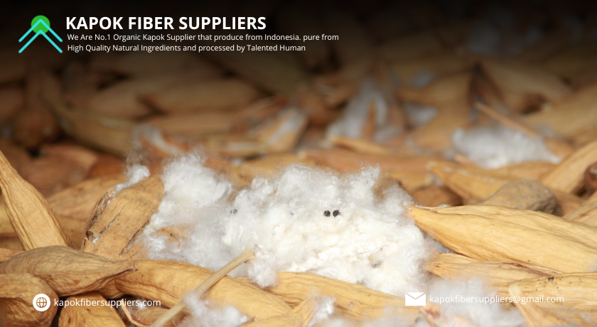 kapok fiber
