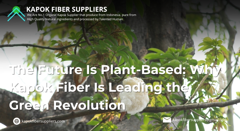 kapok fiber
