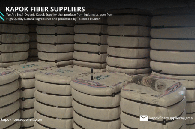 kapok fiber