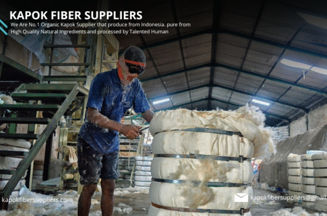 kapok fiber