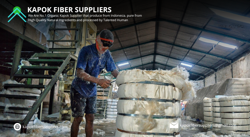 kapok fiber