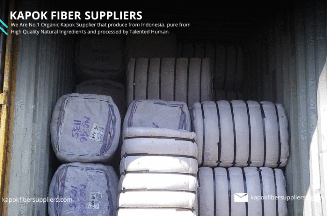 kapok fiber