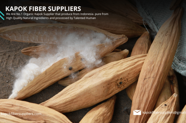 kapok fiber