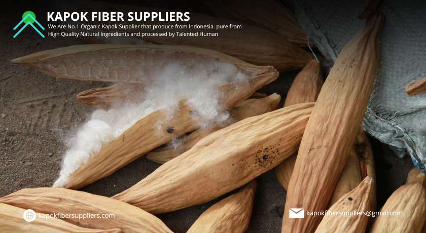 kapok fiber