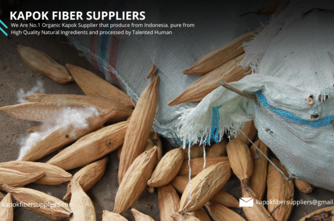 kapok fiber
