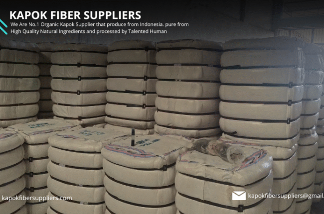 kapok fiber
