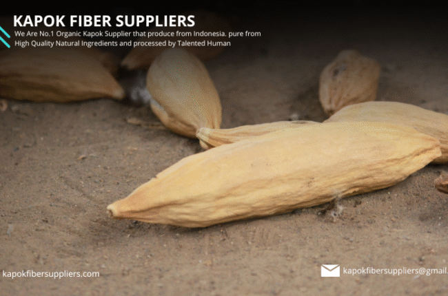 kapok fiber