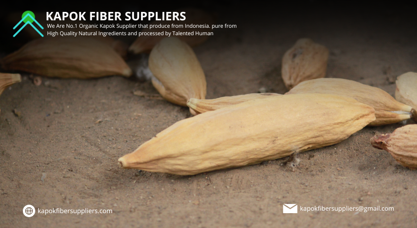 kapok fiber