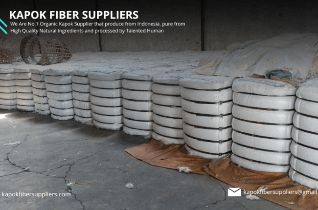 kapok fiber