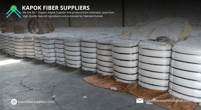kapok fiber